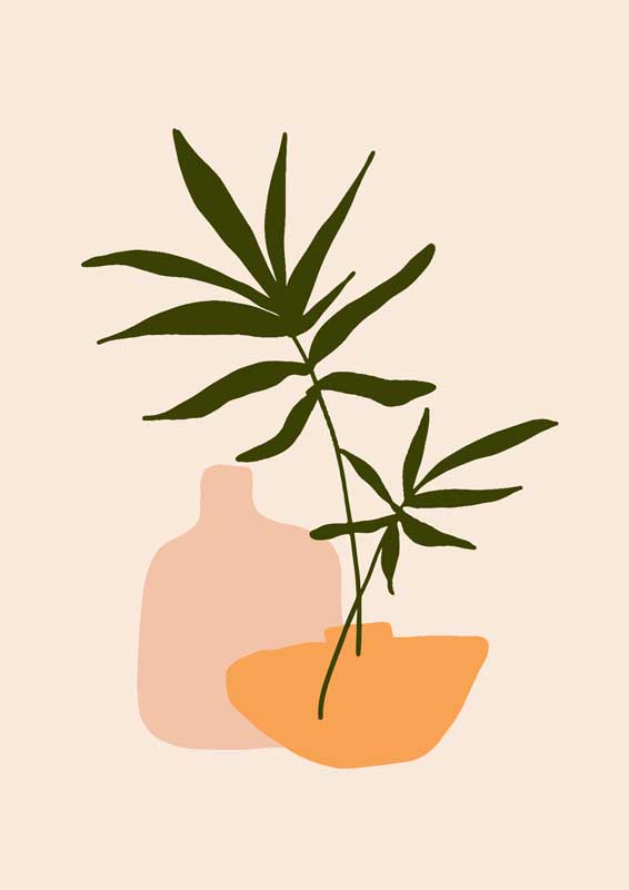 美国特一毛在线观看